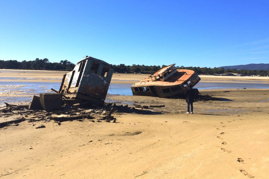 Baia de Troia – The Sado River Experience
