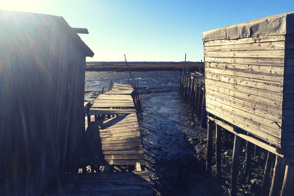 Carrasqueira Cais Palafitico – The Sado River Experience