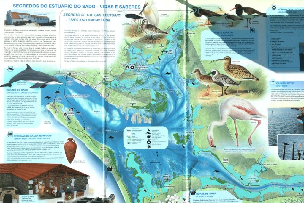 Estuario do Sado – The Sado River Experience