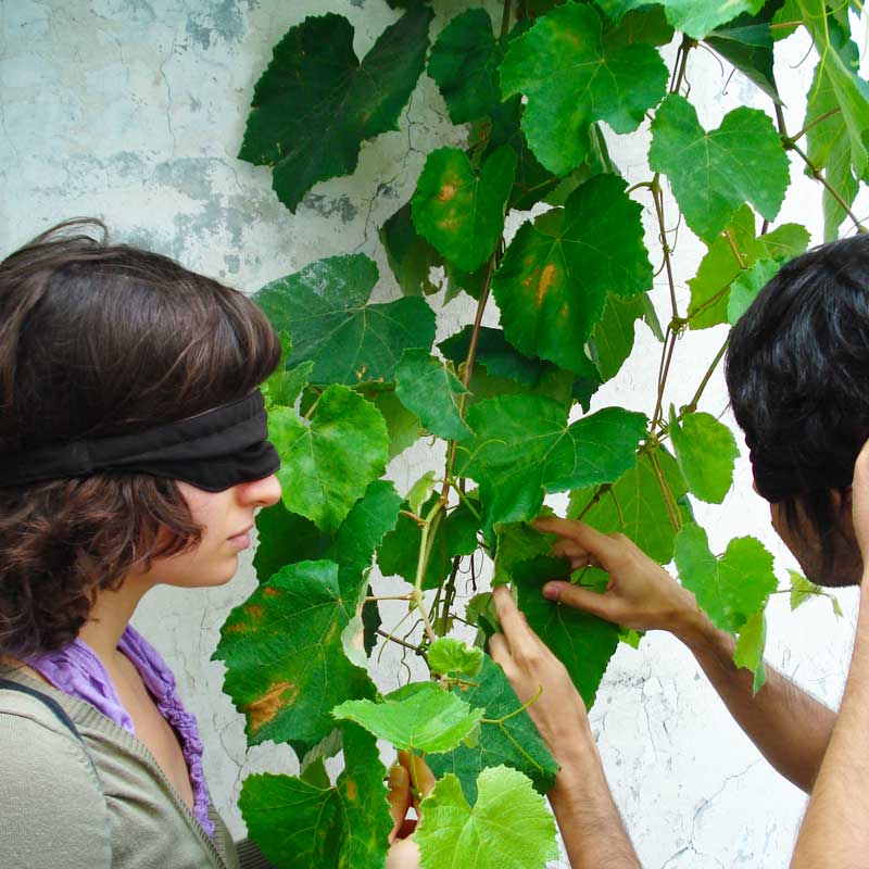 LxSensorial – Sensory Lisbon