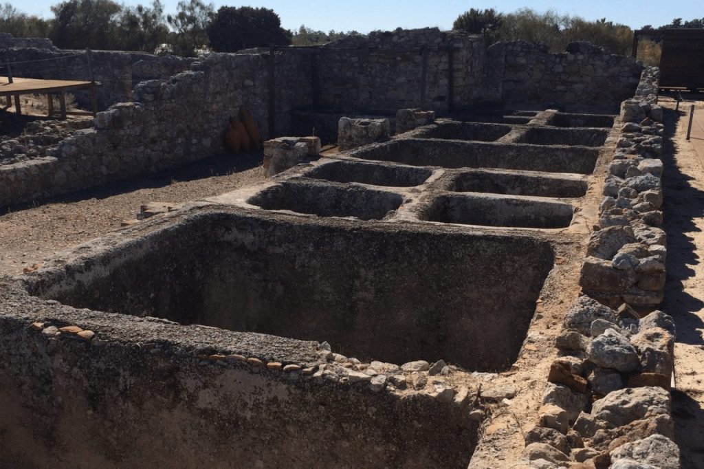 Ruinas Romanas de Troia – The Sado River Experience