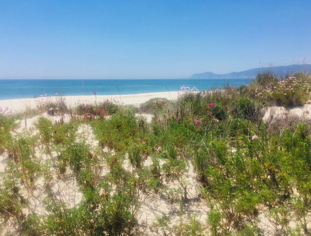 Dunes and beach at Tróia